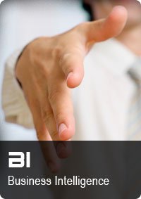 BI - Business Intelligence